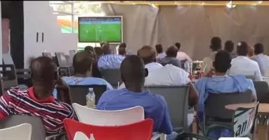 صورة مشجعو تونس مباراتها الحاسمة ضد فرنسا (فيديو)