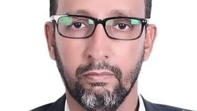 صورة موريتانيا 2029 .. رؤية للإسهام في البناء الوطني/ المختار ولد كاكيه