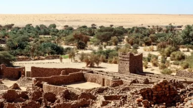 صورة تضم شارع الأربعين عالما وتوصف بأنها أقدم جامعة في الصحراء.. مدينة وادان التاريخية بموريتانيا