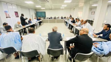 صورة الورشات الفنية للمنتديات العامة تواصل أعمالها لليوم الثالث (صور)