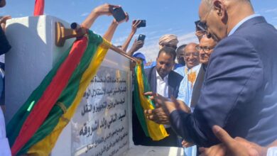 صورة وضع الحجر الأساس لطريق بلدية النباغية