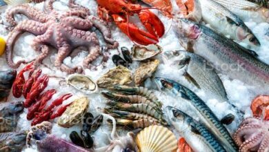 صورة خبراء يكشفون أن المأكولات البحرية تقلل من خطر أمراض الكلى