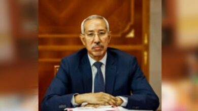 صورة وزير الدفاع الوطني يعود إلى نواكشوط قادما من أبو ظبي