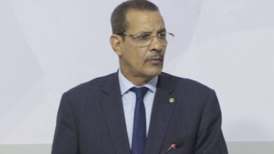 صورة وزير التجارة: لم يصلنا بلاغ رسمي من المغرب بمنع تصدير الخضروات