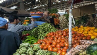 صورة المغرب يحظر تصدير الطماطم والبصل والبطاطس