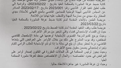 صورة المحكمة العليا تعلق قرار فصل ولد سيدي من هيئة المحامين