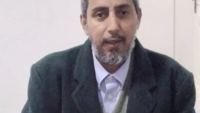 صورة الزراعة البعلية : هل نجحنا في رفع المحاصيل وجودتها؟ / محمد عبدالله اللهاه