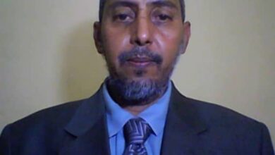 صورة الزراعة : خطوة إلى الأمام وخطوتين إلى أين؟ / محمد عبدالله اللهاه 