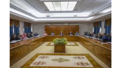 صورة هذا ما سيناقشه مجلس الوزراء غدا في مدينة النعمة