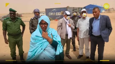 صورة وزارة البيئة توقف العمل في 3 شركات لمعالجة مخلفات التعدين الأهلي