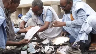 صورة نواكشوط: حريق”هائل” في جناح الصناعة التقليدية بـ”المعرض” (صور)