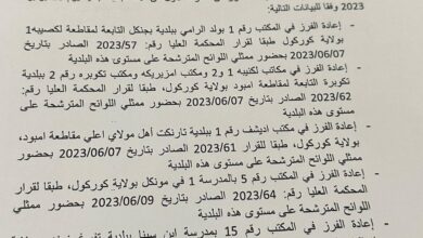 صورة لجنة الانتخابات تحدد 23 يونيو موعدا لإعادة الفرز ببعض المكاتب