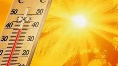 صورة هيئة الأرصاد تتوقع ارتفاع درجات الحرارة على معظم المناطق