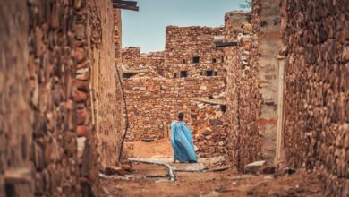 صورة الأنساب والهوية وتفسير التاريخ