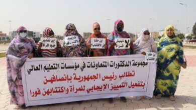 صورة تجمع دكتورات يطالب بالتمييز الإيجابي في مسابقات التعليم العالي