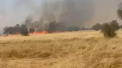 صورة الحوض الغربي: حريق”هائل” في بعض المراعي وجهود متواصلة لإخماده