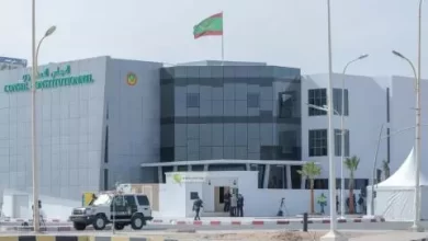 صورة لعدم استيفاء الشروط.. المجلس الدستوري يرفض 36 طعنا في الانتخابات