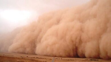 صورة الطينطان.. وفاة سيدة وإصابة 41 شخصا في عاصفة رملية