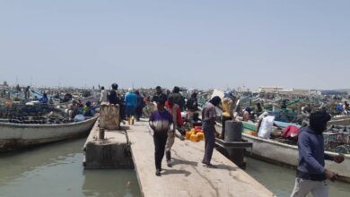 صورة آلاف الصيادين التقليديين يبدءون نشاطهم بعد العطلة البيولوجية للصيد البحري (تفاصيل)