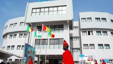 صورة غينيا تعلق عضويتها في منظمة استثمار نهر السنغال