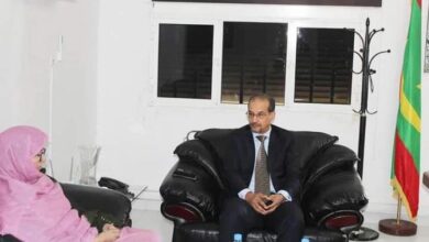 صورة مفوض حقوق الانسان يستقبل رئيسة المرصد الوطني لحقوق المرأة و الفتاة