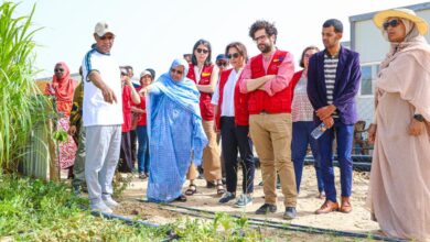 صورة وفد من منظمة التعاون الإسباني، يزرو المزرعة النموذحية لجهة نواكشوط