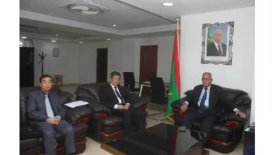 صورة موريتانيا تحدد أولوياتها مع الصين في مجال الزراعة