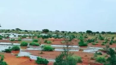 صورة من بينها نواكشوط.. توقع تساقطات مطرية على أغلب مناطق البلاد