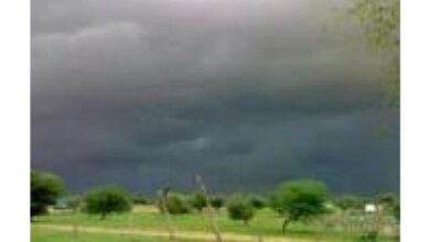 صورة تعرف على مقاييس آخر التساقطات المطرية ببعض ولايات الوطن (تفاصيل وأرقام)