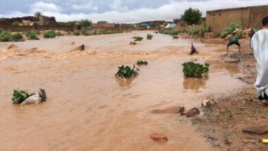 صورة أنابيب المياه في قرى تابعة للحوض الشرقي تجرفها السيول (تفاصيل) 