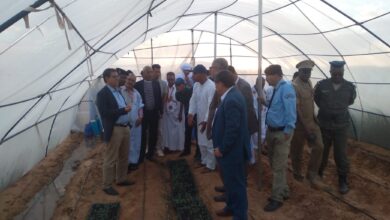 صورة وزير الزراعة يزور مزارع نموذجية بكرو وأربعة سدود ببلدية لكران (تفاصيل)