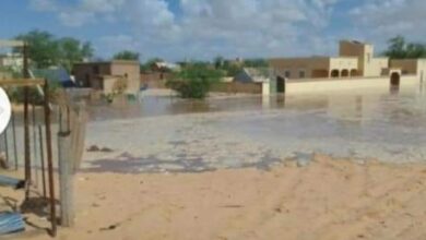 صورة والي ولاية لعصابة يتجه إلى بومديد بعد نكبة السيول (تفاصيل)