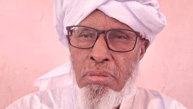 صورة وصمة الإساءة الٱخطاءوالعبر/ الطيب سيداحمد