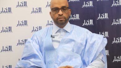 صورة خبير: الاستثمار الحالي في صناعة دقيق السمك سلبي