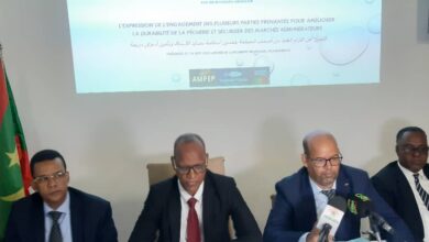 صورة فاعلون وخبراء يبحثون سبل تحسين مصايد الإخطبوط