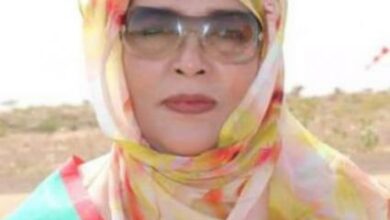 صورة هكذا دون النايب الخير بنت يسلم حول مشروع قانون الكرامة (تدوينة)