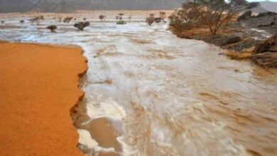 صورة موريتانيا: تساقطات مطرية في ثلاث ولايات