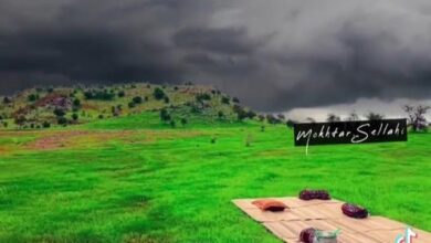 صورة تعرف على آخر التساقطات المطرية في ثلاث ولايات من الوطن