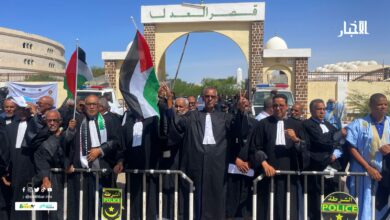 صورة محامون يتظاهرون بنواكشوط دعما لفلسطين ورفضا لجرائم الاحتلال