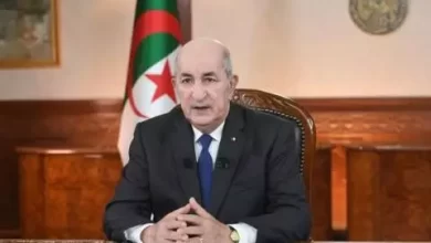 صورة تضامنا من غزة.. الجزائر تعلن إلغاء الاحتفالات بذكرى فاتح نوفمبر