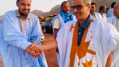 صورة ساكنة أزويرات تنظم استقبالا حاشدا للوزير السابق سيد أحمد ولد الرايس على مشارف المدينة (صور)