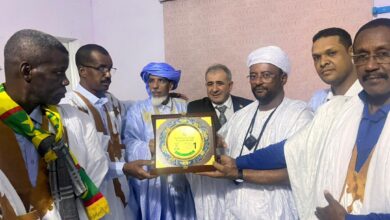 صورة انطلاف فعاليات مهرجان شمامه للثقافة و التنمية (النسخة الأولى)