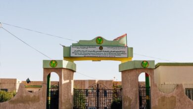 صورة وزارة التعليم العالي تعلن تعليق الدروس لمدة 24 ساعة