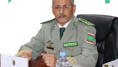 صورة قرار بمنع الأجانب من ممارسة النقل وإبعاد توك توك من وسط العاصمة