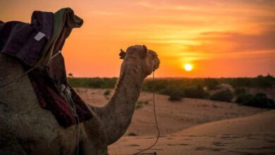 صورة رئيس منتدى آوكار يصدر بيانا بمناسبة عيد المرأة (الثامن من مارس)