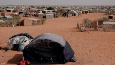 صورة والي الحوض الشرقي: سنتعامل مع التجاوزات على حدودنا مع مالي بصرامة وحكمة