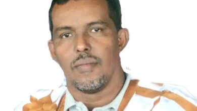 صورة عن الانتخابات الرئاسية المنتظرة والتغيير الحكومى المحتمل / سيد أحمد ولد باب (*)
