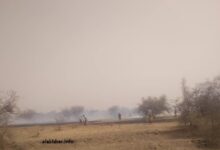 صورة عاجل: اندلاع ألسنة النيران في مراعي “واد أشرم” التابع لمقاطعة المجرية بولاية تكانت