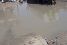 صورة الصرف الصحي يرسل صهاريج لسوق “التبتبات” بتيارت لشفط المياه المحاصرة للسوق