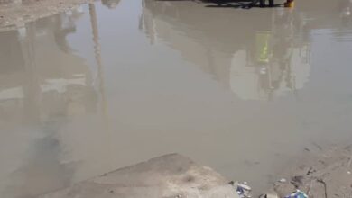 صورة الصرف الصحي يرسل صهاريج لسوق “التبتبات” بتيارت لشفط المياه المحاصرة للسوق